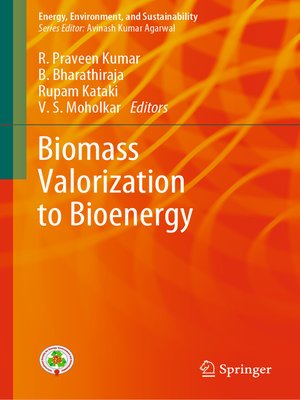 cover image of Biomass Valorization to Bioenergy